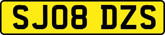 SJ08DZS