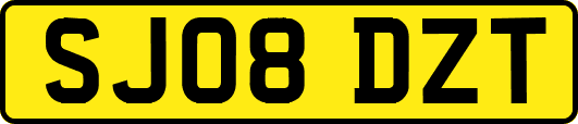 SJ08DZT