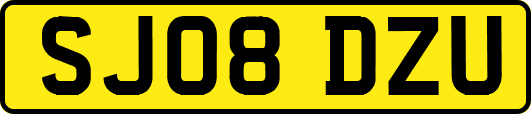 SJ08DZU