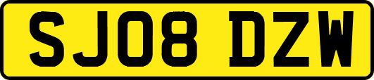 SJ08DZW