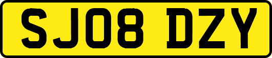 SJ08DZY