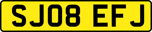 SJ08EFJ