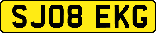 SJ08EKG