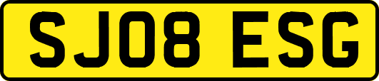 SJ08ESG