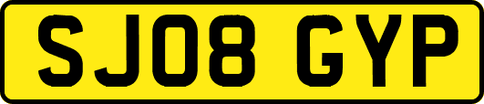 SJ08GYP