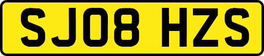 SJ08HZS