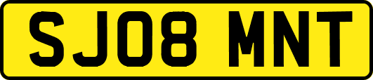 SJ08MNT