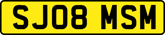SJ08MSM