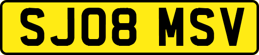 SJ08MSV