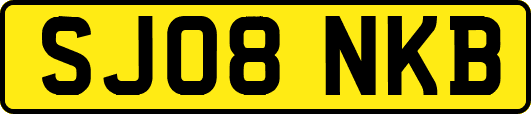 SJ08NKB
