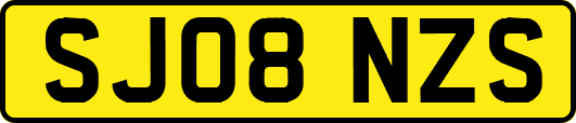 SJ08NZS