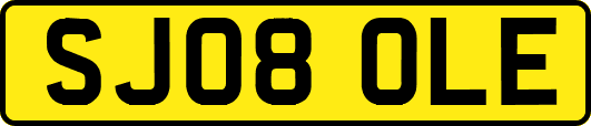 SJ08OLE