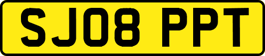 SJ08PPT