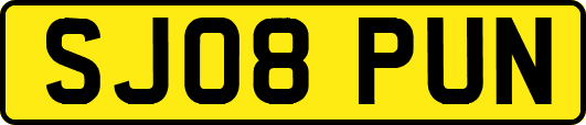 SJ08PUN