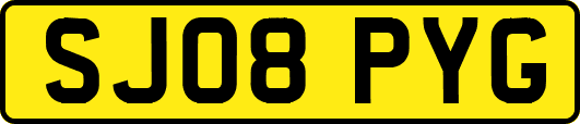 SJ08PYG