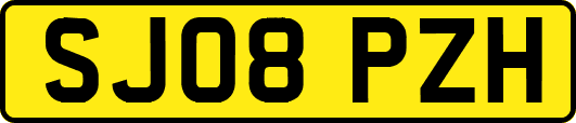 SJ08PZH