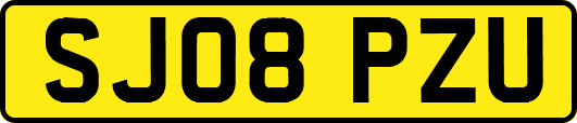 SJ08PZU
