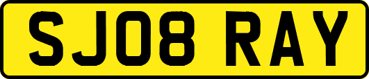 SJ08RAY