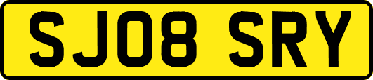 SJ08SRY