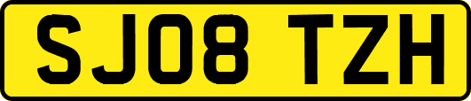 SJ08TZH