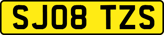 SJ08TZS