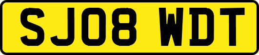 SJ08WDT