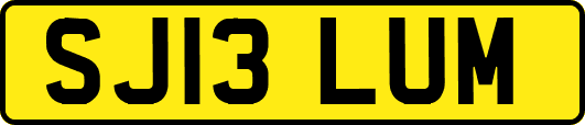SJ13LUM