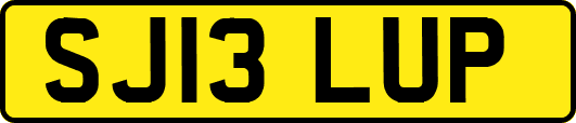 SJ13LUP
