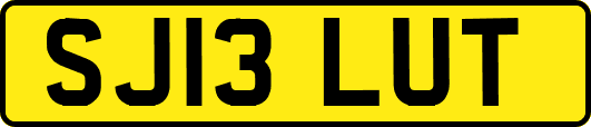 SJ13LUT