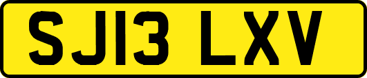 SJ13LXV