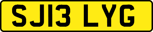 SJ13LYG