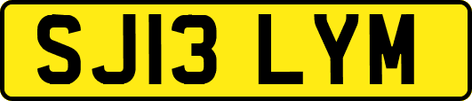 SJ13LYM