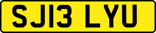 SJ13LYU