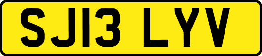 SJ13LYV