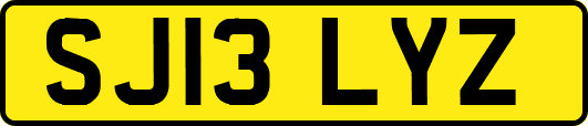SJ13LYZ