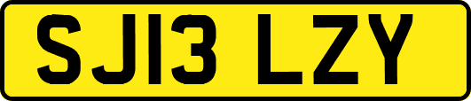SJ13LZY