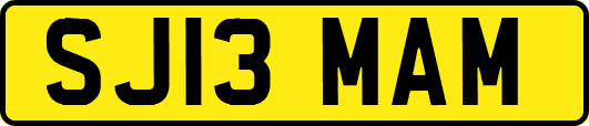 SJ13MAM
