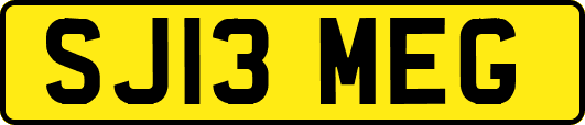 SJ13MEG