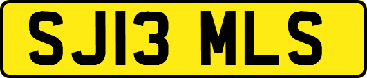 SJ13MLS