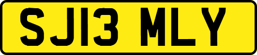 SJ13MLY