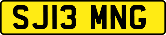 SJ13MNG
