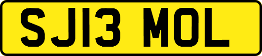 SJ13MOL