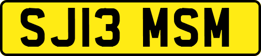 SJ13MSM