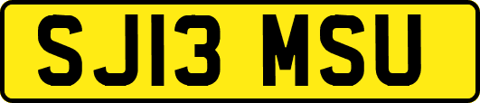 SJ13MSU