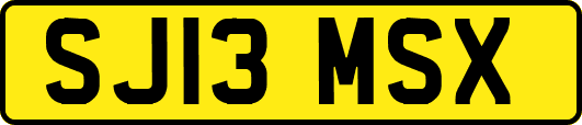 SJ13MSX