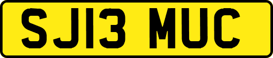 SJ13MUC