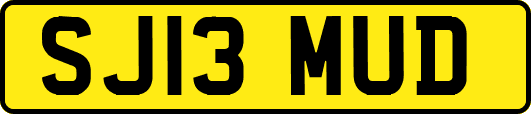 SJ13MUD