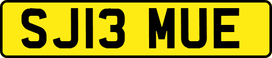 SJ13MUE