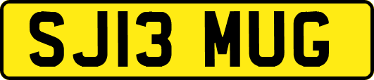 SJ13MUG