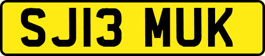 SJ13MUK